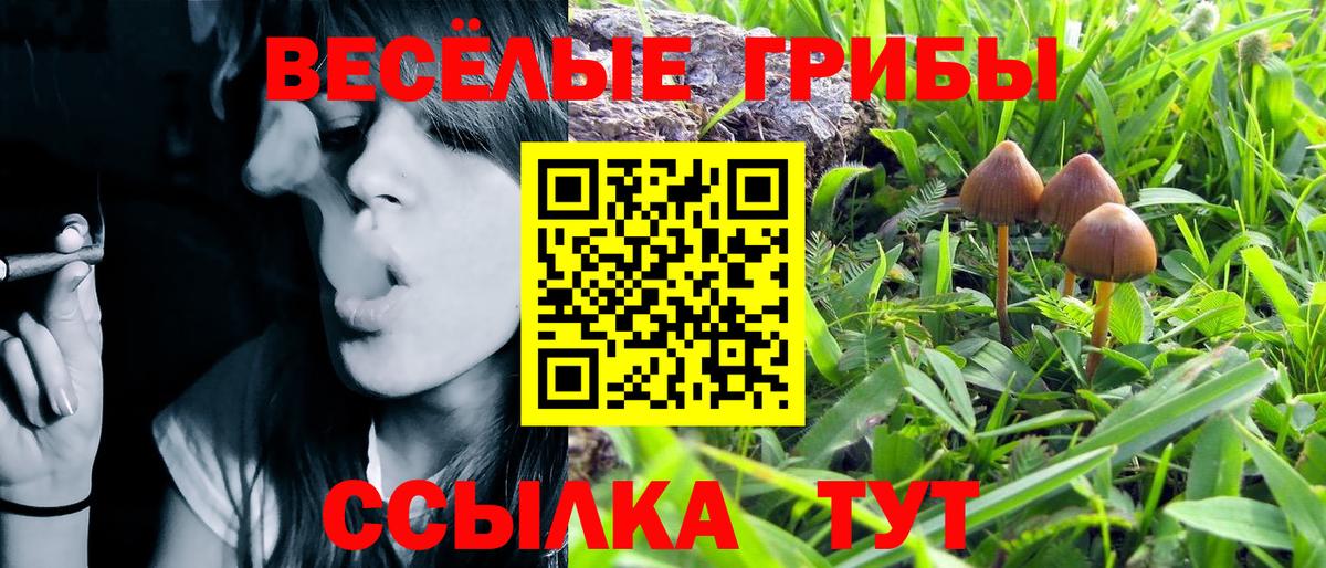 Галлюциногенные грибы Magic Shrooms Волгоград