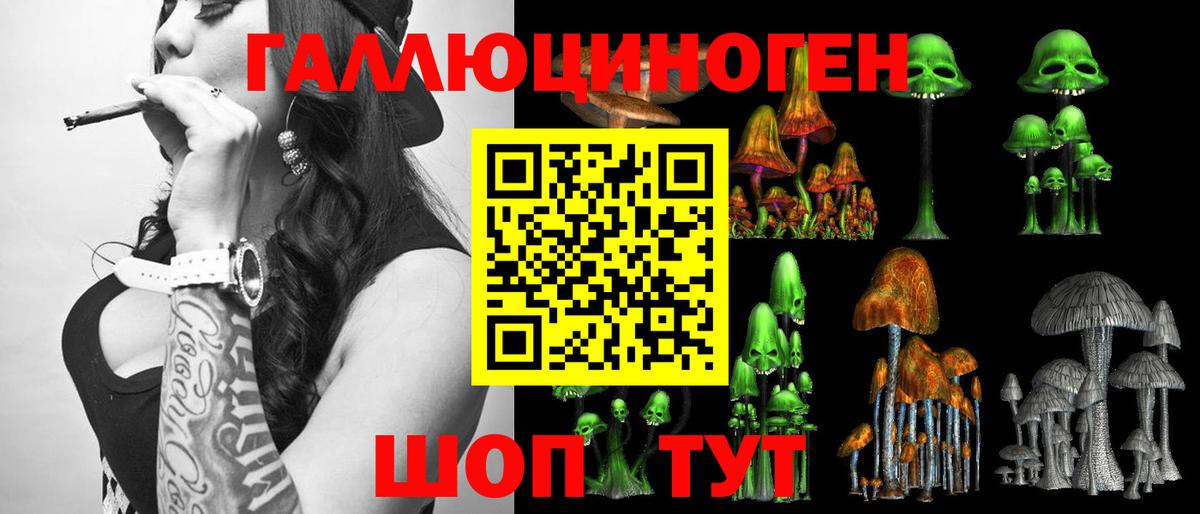 Галлюциногенные грибы мицелий  Псилоцибиновые грибы MAGIC MUSHROOMS  Волгоград  Вход с VPN 